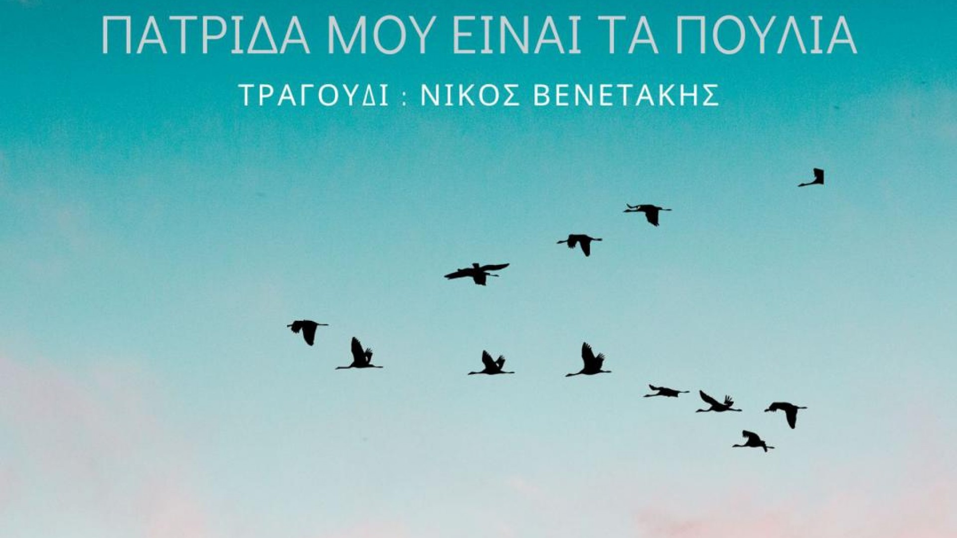 Πατρίδα μου είναι τα πουλιά